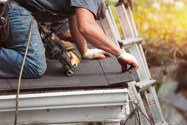 Professional Roofing Contractor in Paloma Creek, TX